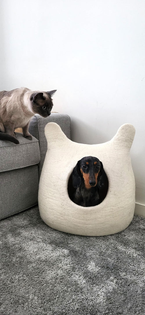 Pawlagom Handmade Cozy Woolen Bed for Cats and Dogs | 100% Natural Pet Nest Made in Poland | Custom Colors (50x50cm)