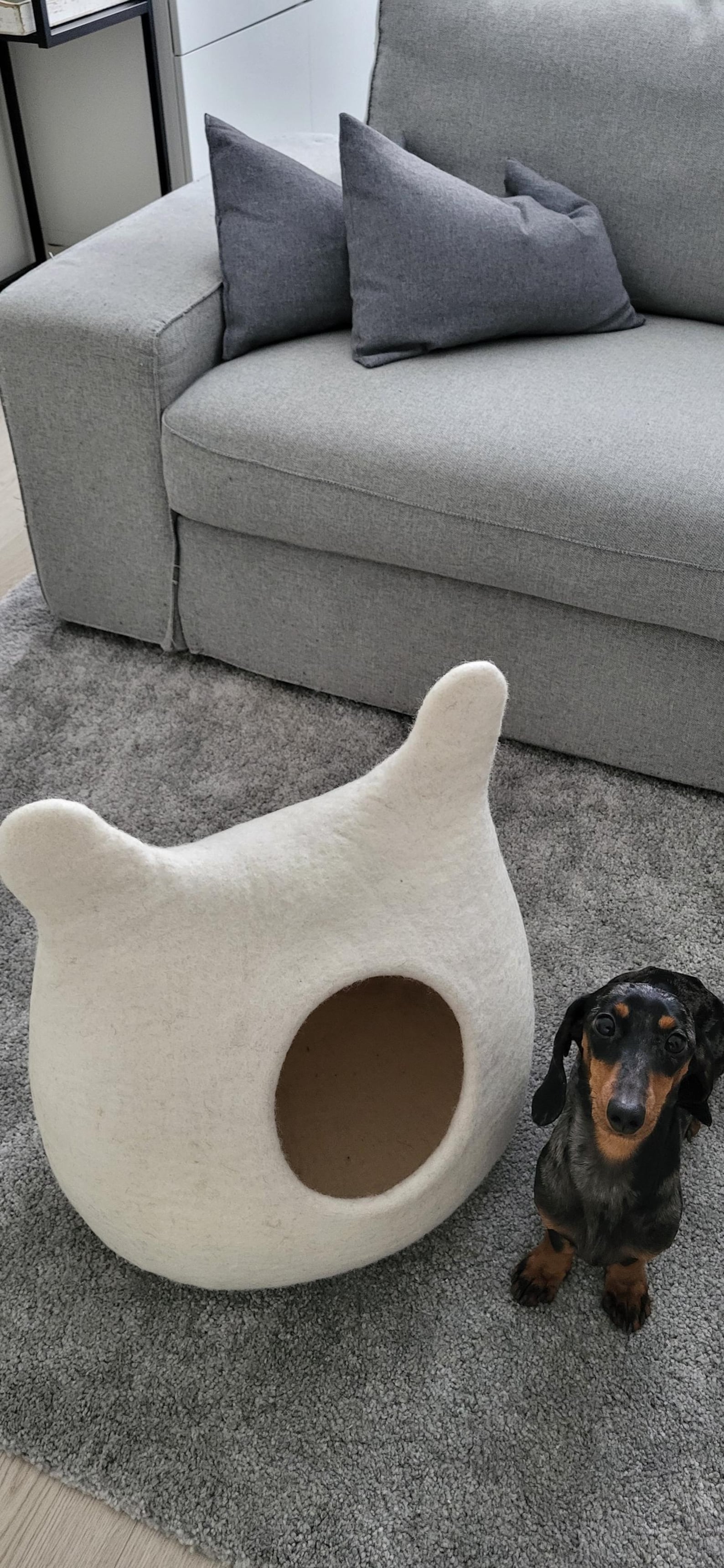 Pawlagom Handmade Cozy Woolen Bed for Cats and Dogs | 100% Natural Pet Nest Made in Poland | Custom Colors (50x50cm)