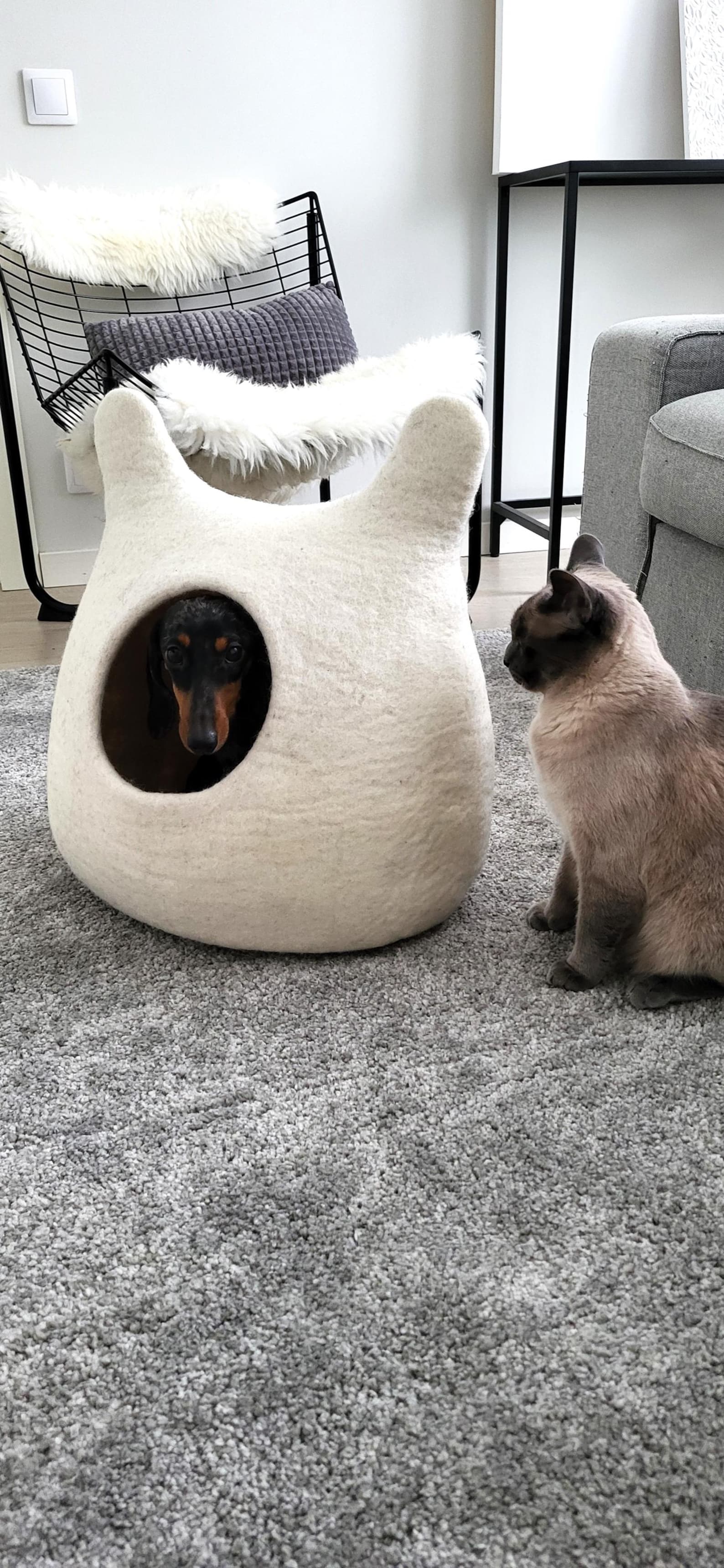 Pawlagom Handmade Cozy Woolen Bed for Cats and Dogs | 100% Natural Pet Nest Made in Poland | Custom Colors (50x50cm)