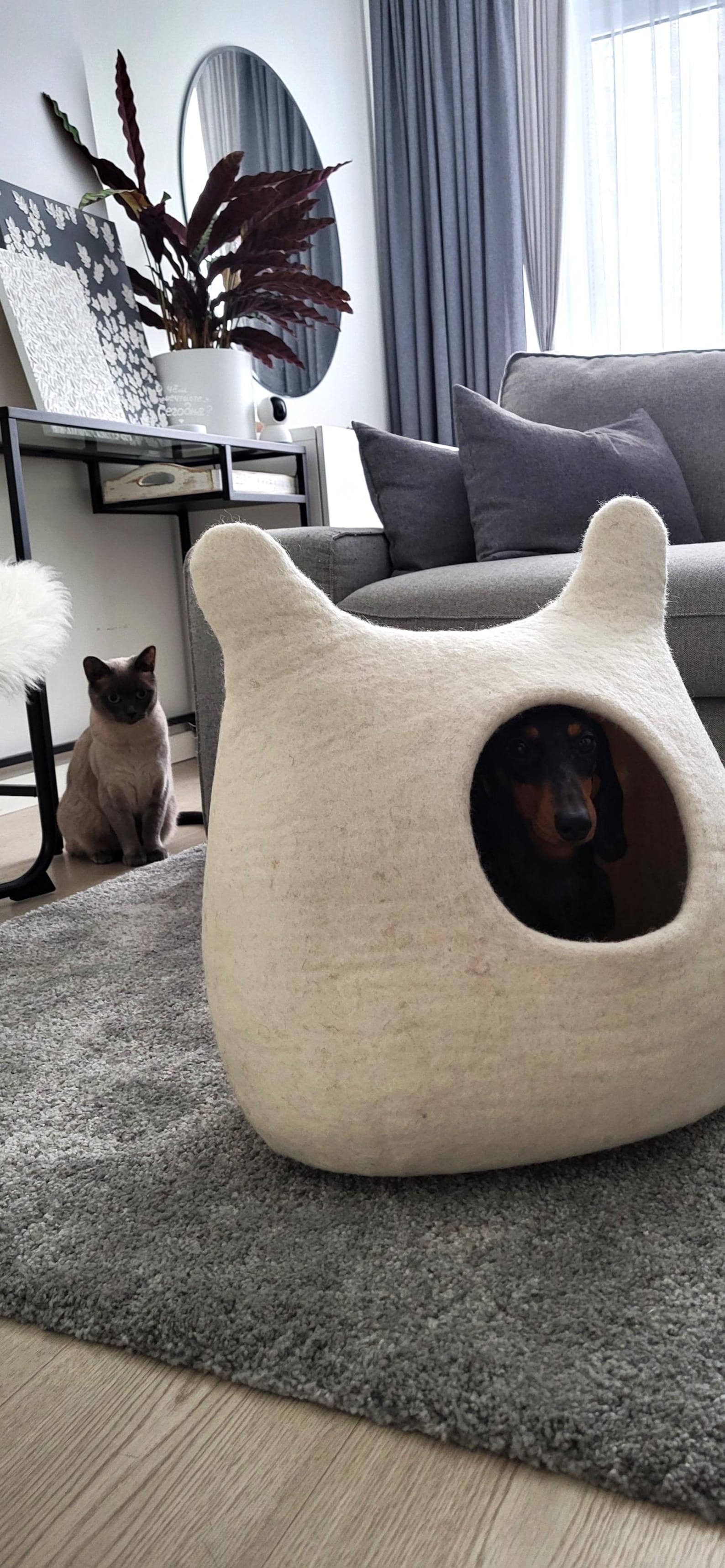 Pawlagom Handmade Cozy Woolen Bed for Cats and Dogs | 100% Natural Pet Nest Made in Poland | Custom Colors (50x50cm)