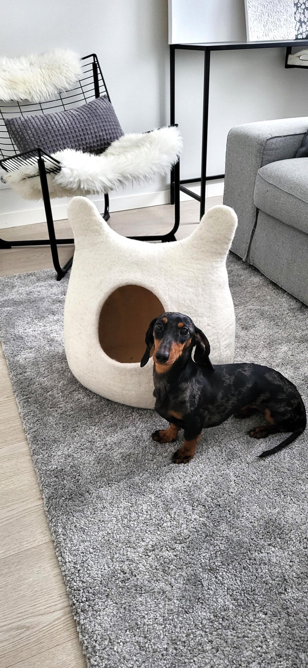 Pawlagom Handmade Cozy Woolen Bed for Cats and Dogs | 100% Natural Pet Nest Made in Poland | Custom Colors (50x50cm)