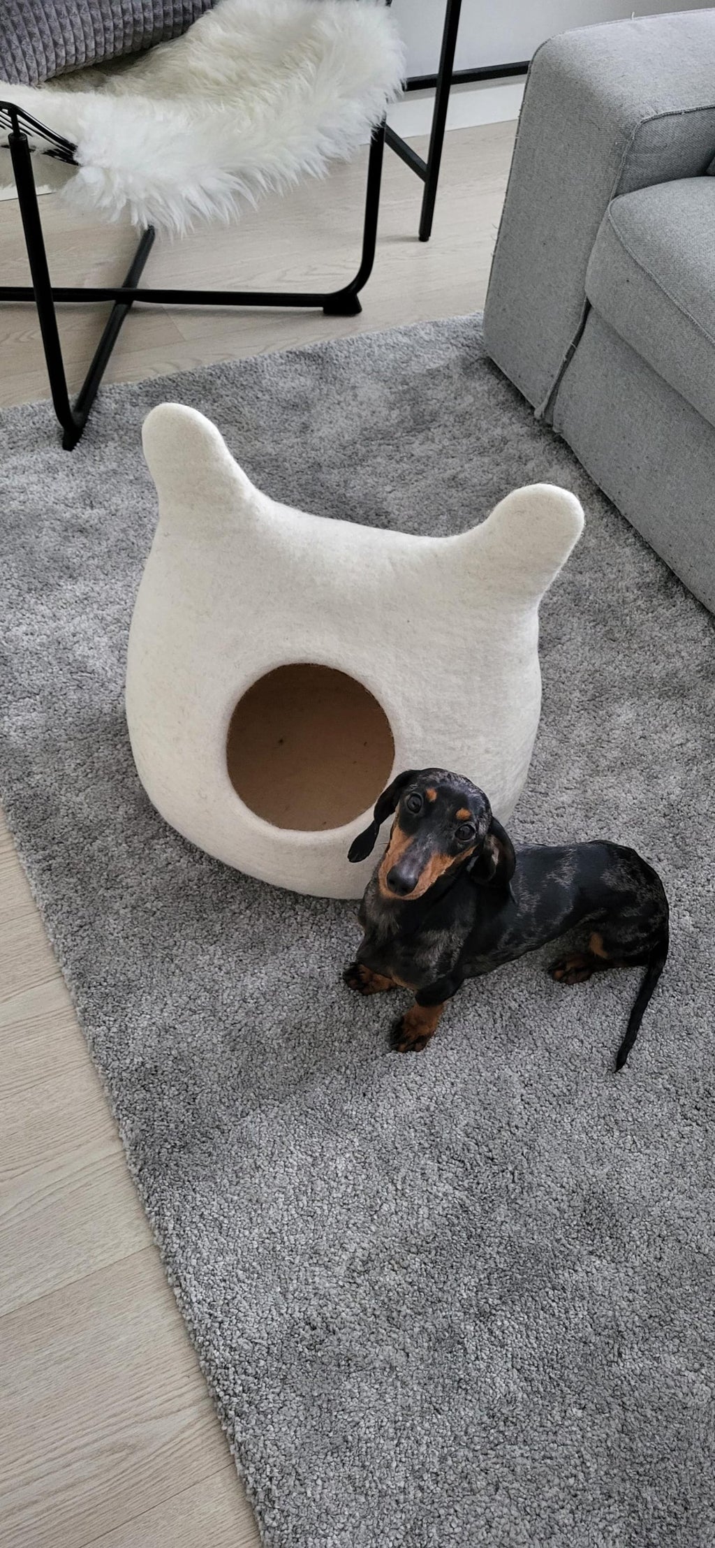 Pawlagom Handmade Cozy Woolen Bed for Cats and Dogs | 100% Natural Pet Nest Made in Poland | Custom Colors (50x50cm)