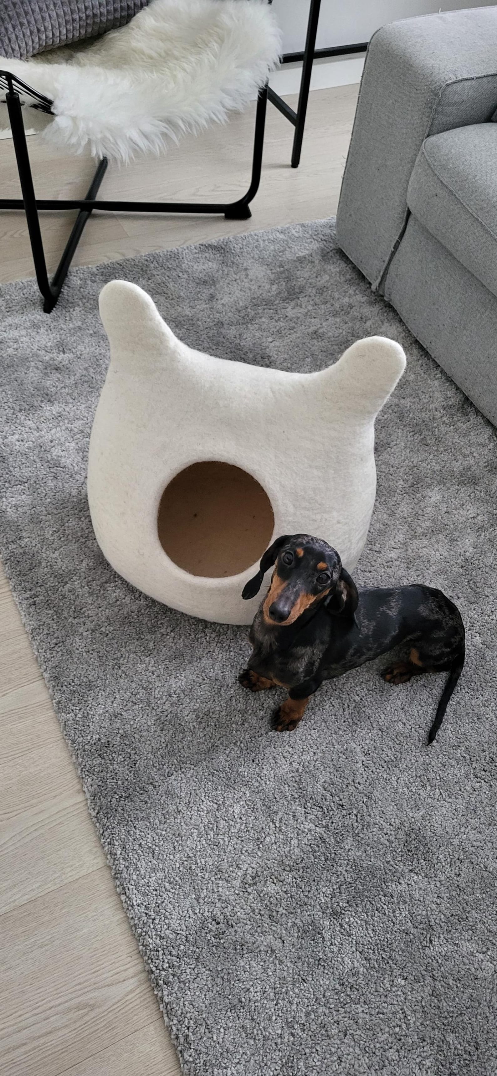 Pawlagom Handmade Cozy Woolen Bed for Cats and Dogs | 100% Natural Pet Nest Made in Poland | Custom Colors (50x50cm)
