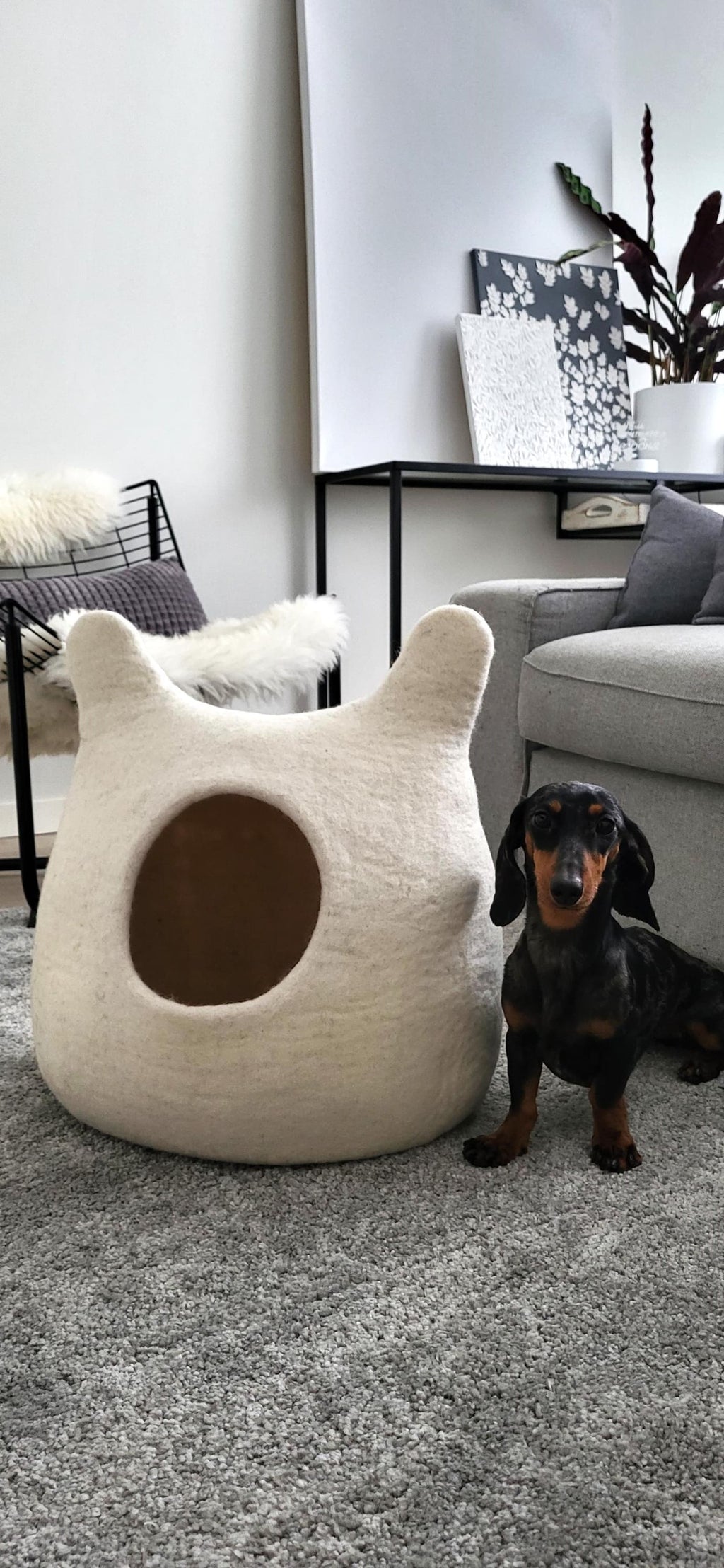 Pawlagom Handmade Cozy Woolen Bed for Cats and Dogs | 100% Natural Pet Nest Made in Poland | Custom Colors (50x50cm)