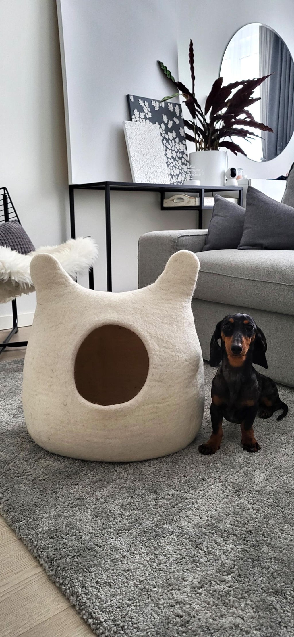 Pawlagom Handmade Cozy Woolen Bed for Cats and Dogs | 100% Natural Pet Nest Made in Poland | Custom Colors (50x50cm)