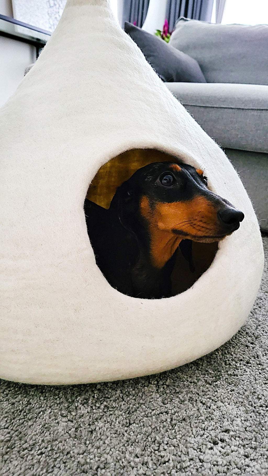 Pawlagom Handmade Cozy Woolen Bed for Cats and Dogs | 100% Natural Pet Nest Made in Poland