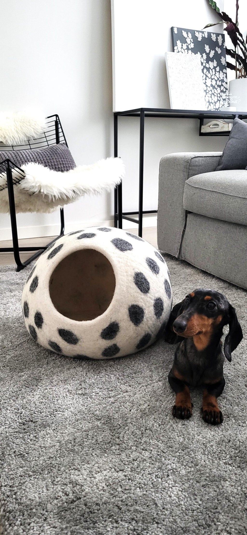 Pawlagom Handmade Cozy Woolen Bed for Cats and Dogs | 100% Natural Pet Nest Made in Poland