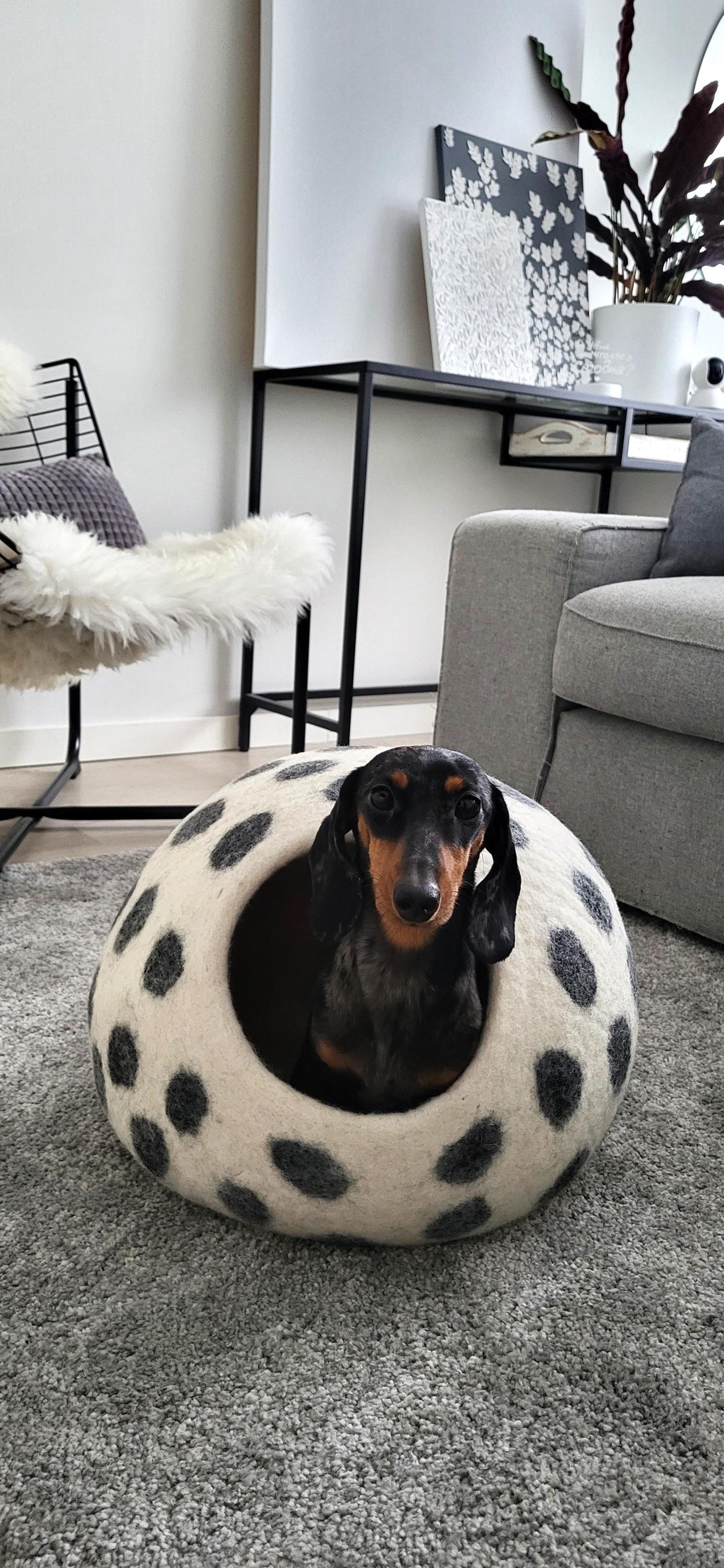 Pawlagom Handmade Cozy Woolen Bed for Cats and Dogs | 100% Natural Pet Nest Made in Poland