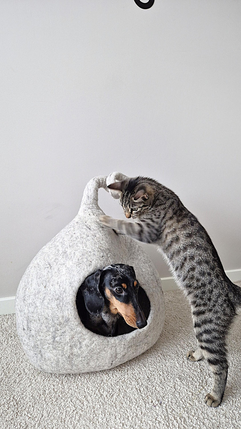 Pawlagom Handmade Cozy Woolen Bed for Cats and Dogs | 100% Natural Pet Nest Made in Poland | Custom Colors (45x50cm)