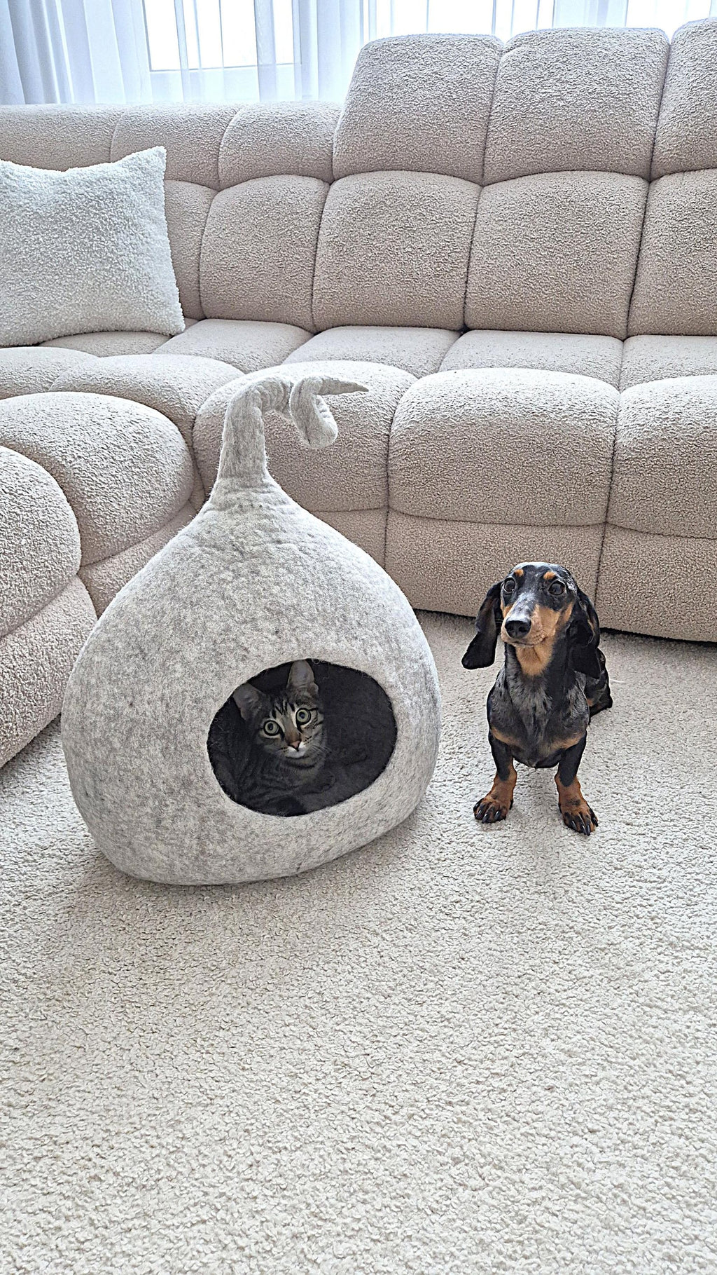 Pawlagom Handmade Cozy Woolen Bed for Cats and Dogs | 100% Natural Pet Nest Made in Poland | Custom Colors (45x50cm)